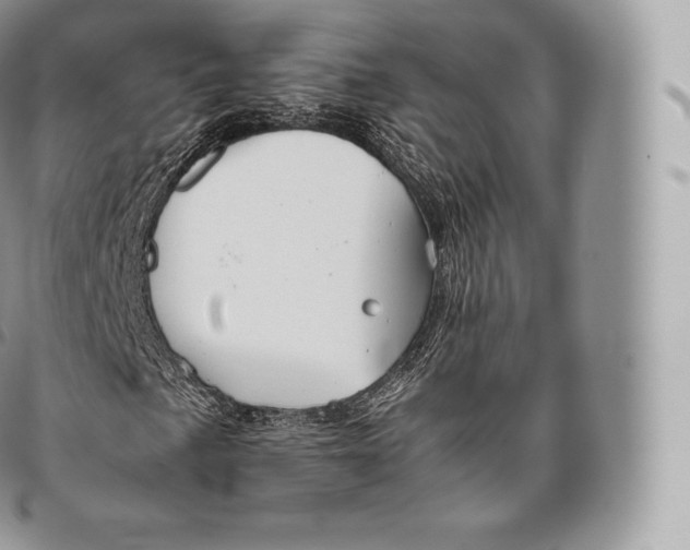 X0000096481057200802141716