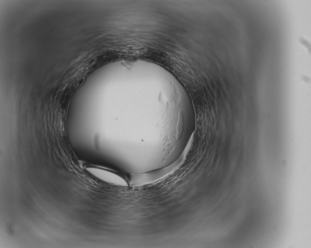 X0000096481058200802141716