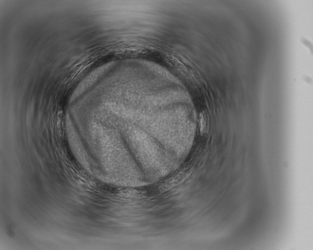 X0000096481059200802141716