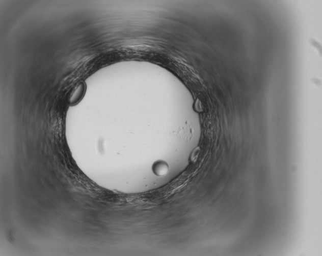 X0000096481061200802141716