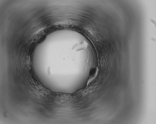 X0000096481062200802141716