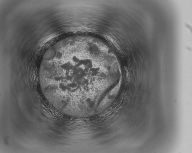 X0000096481063200802141716