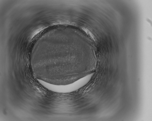 X0000096481064200802141716