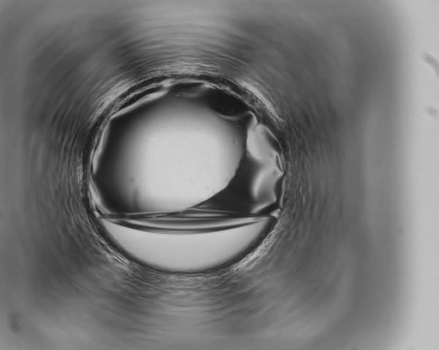 X0000096481065200802141716