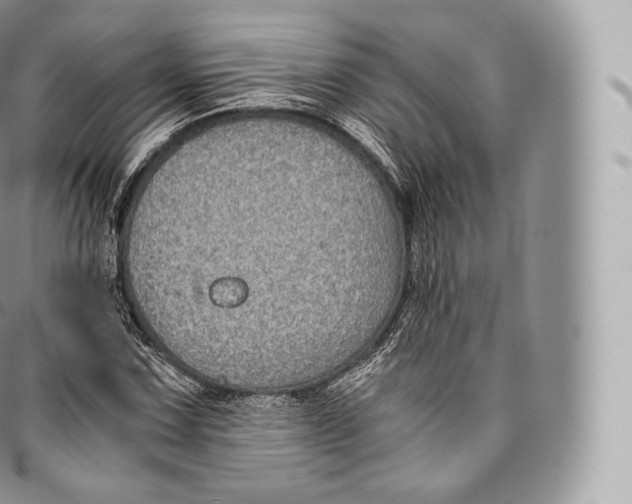 X0000096481067200802141716