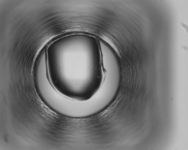 X0000096481068200802141716