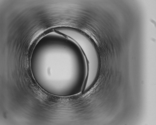 X0000096481069200802141716