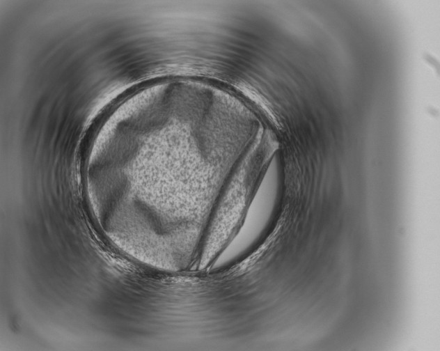 X0000096481070200802141716