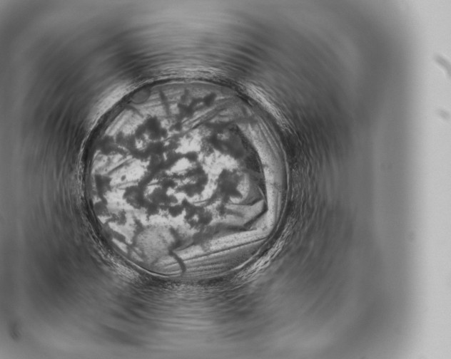 X0000096481071200802141716