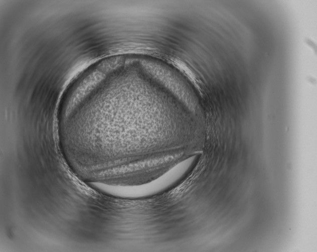 X0000096481072200802141716