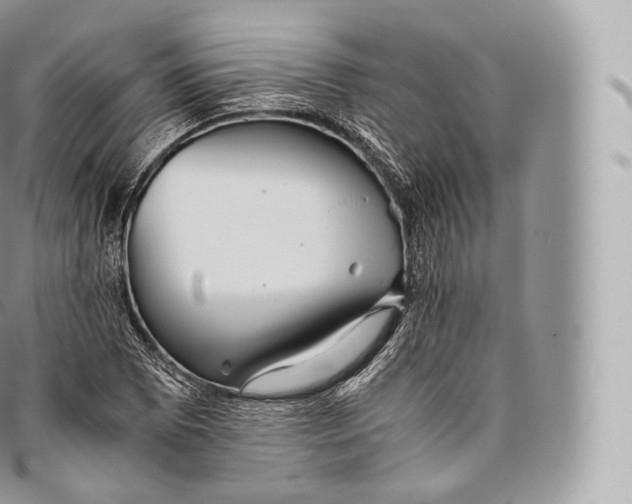 X0000096481073200802141716