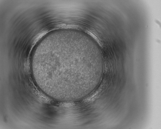 X0000096481074200802141716