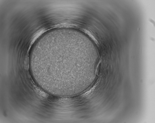 X0000096481075200802141716