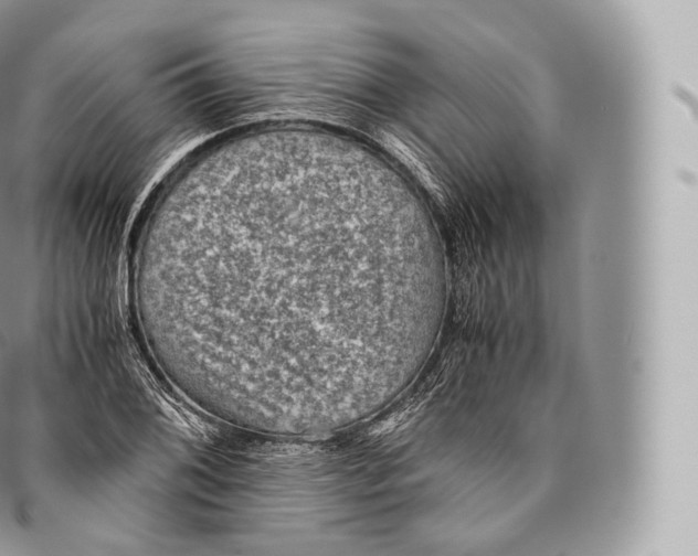 X0000096481076200802141716