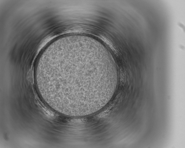 X0000096481078200802141716