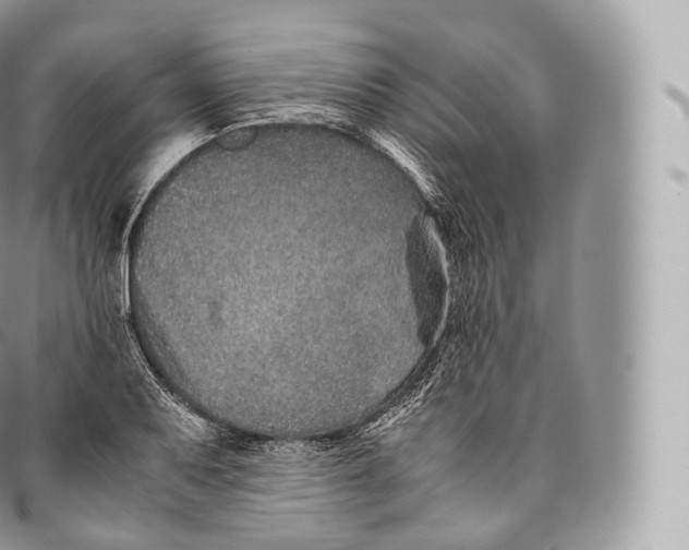 X0000096481079200802141716