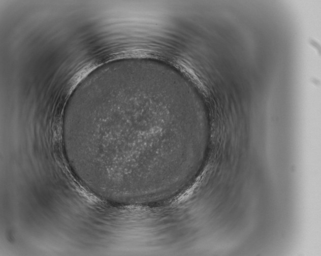 X0000096481081200802141716