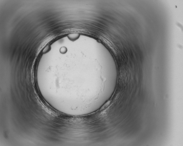 X0000096481082200802141716