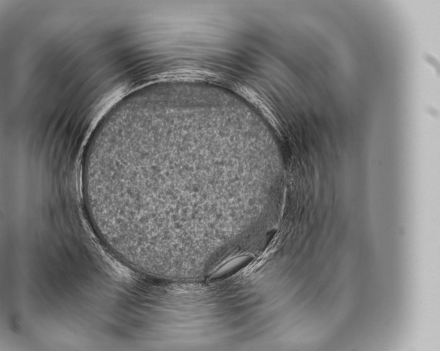 X0000096481083200802141716