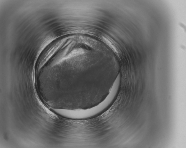 X0000096481084200802141716