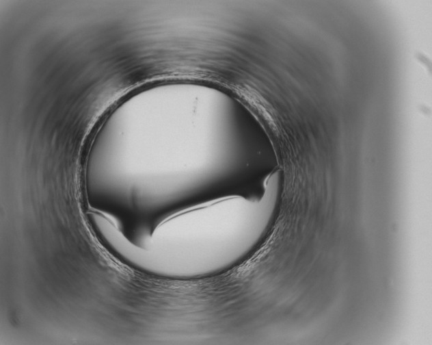 X0000096481085200802141716