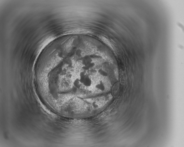 X0000096481087200802141716