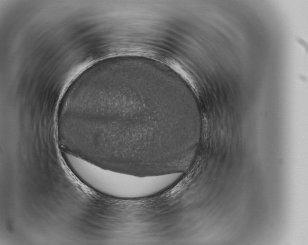 X0000096481088200802141716