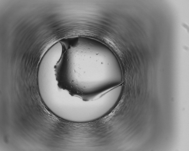 X0000096481089200802141716