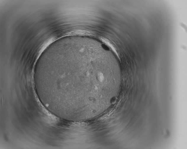 X0000096481091200802141716