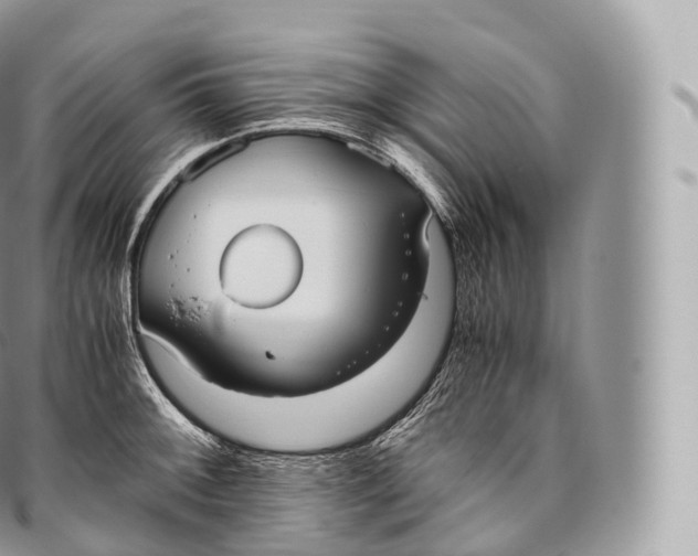 X0000096481092200802141716