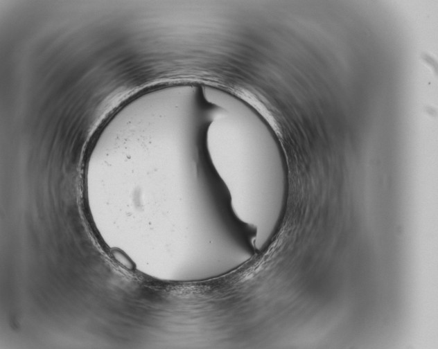 X0000096481093200802141716