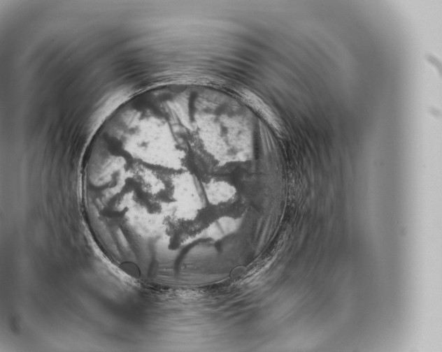 X0000096481095200802141716