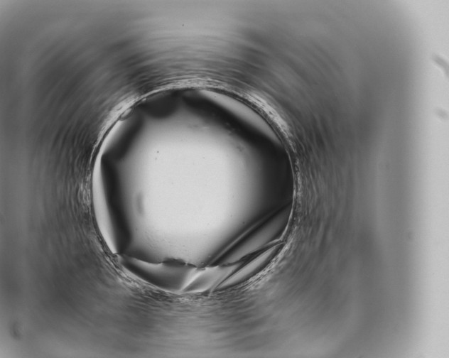 X0000096481097200802141716