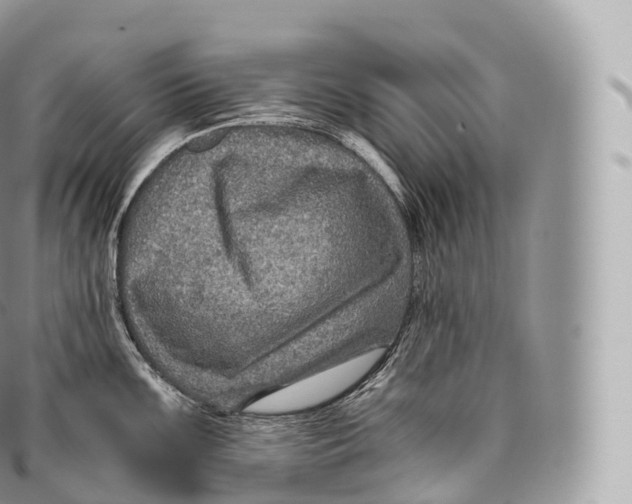 X0000096481099200802141716