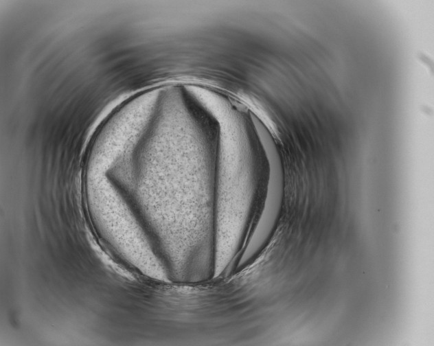 X0000096481100200802141716