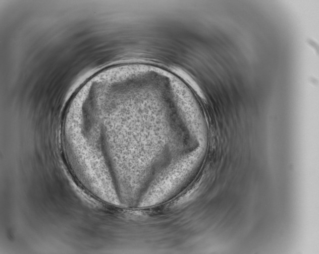 X0000096481101200802141716