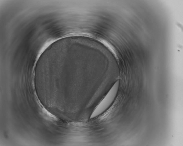 X0000096481102200802141716