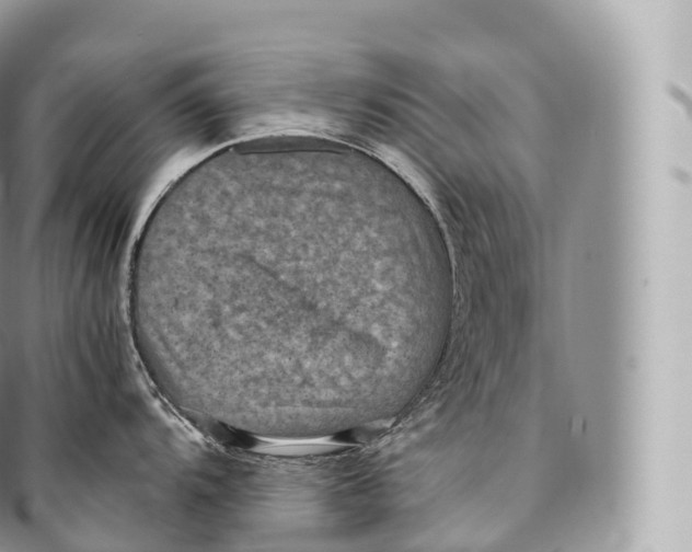 X0000096481104200802141716