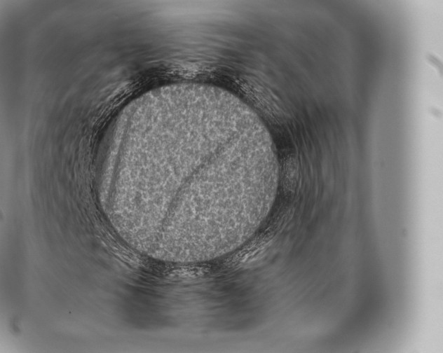 X0000096481105200802141715