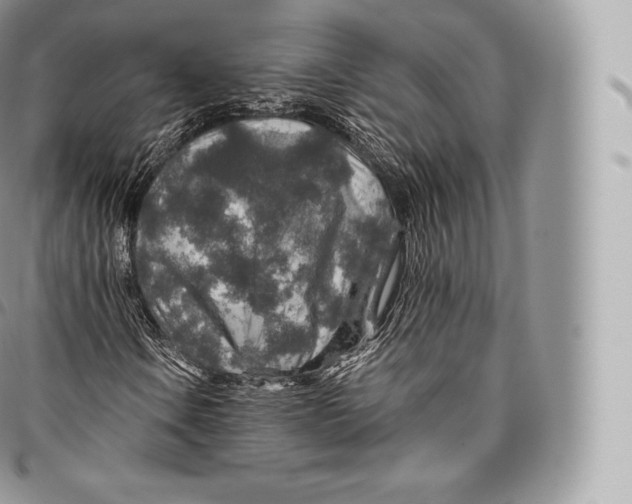 X0000096481106200802141715