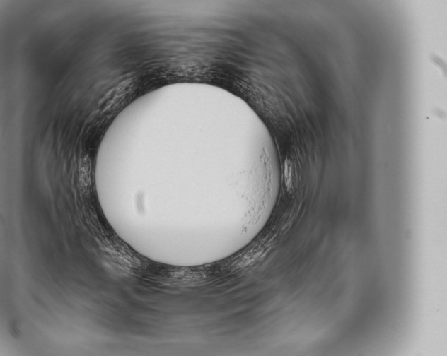 X0000096481107200802141715