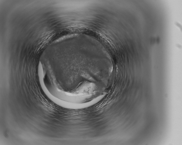 X0000096481108200802141715