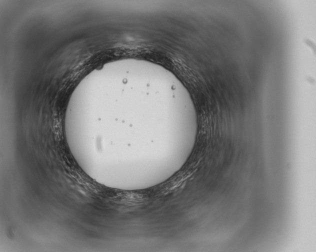 X0000096481109200802141715