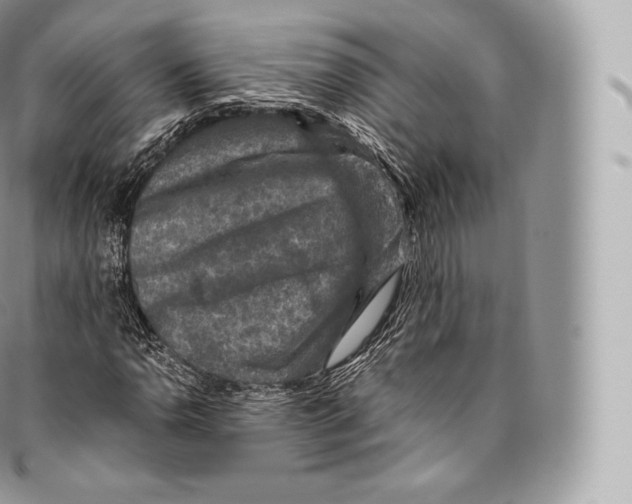 X0000096481110200802141715