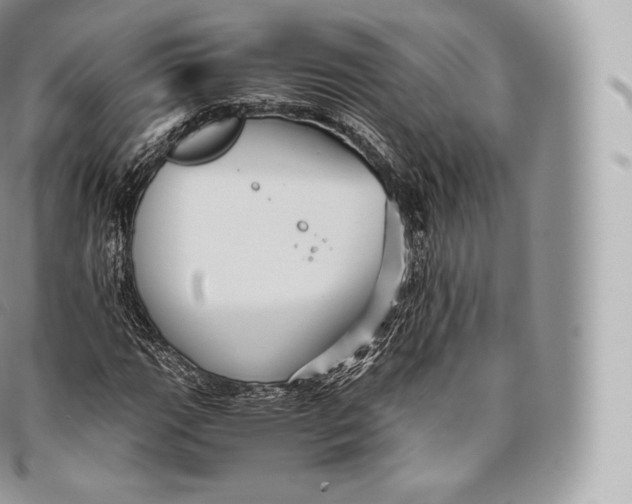 X0000096481111200802141715