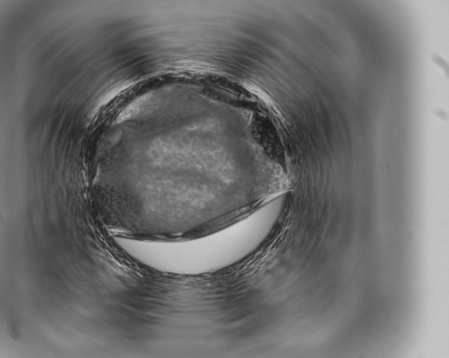 X0000096481112200802141715