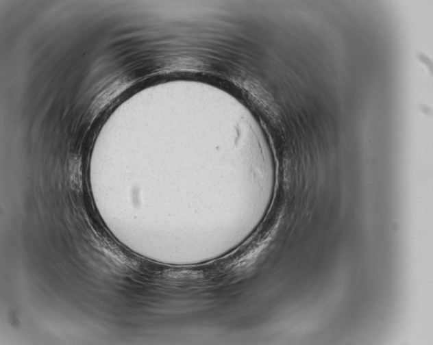 X0000096481113200802141715