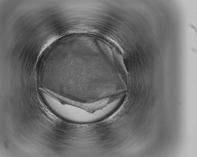 X0000096481114200802141715