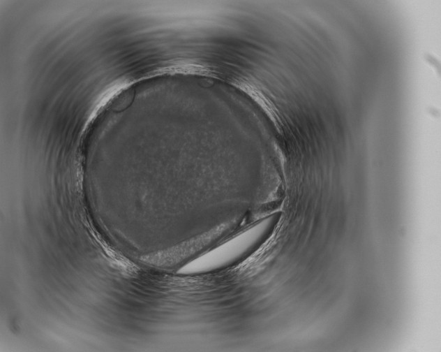 X0000096481115200802141715