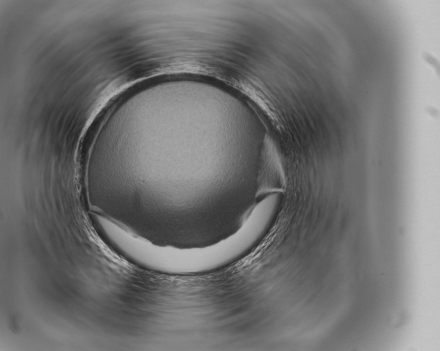 X0000096481116200802141715